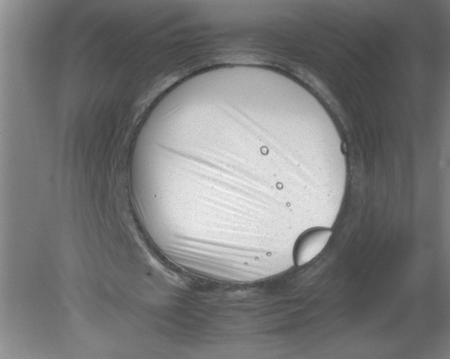 X0000080120433200612302014