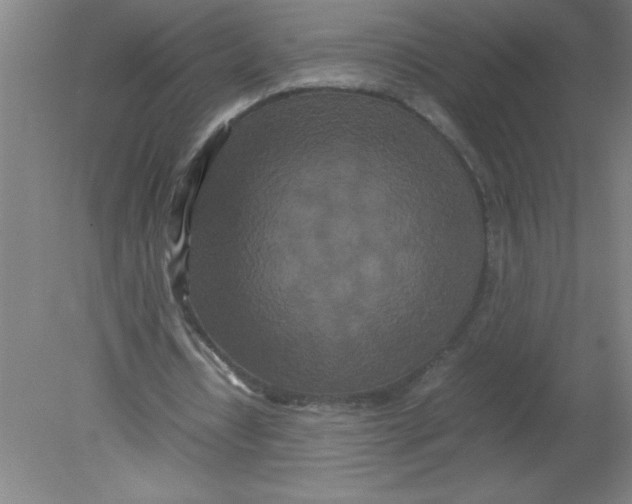 X0000080120434200612302014