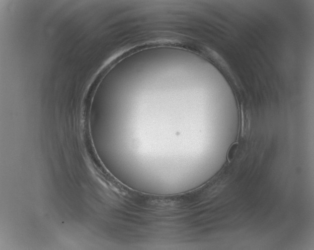 X0000080120435200612302014