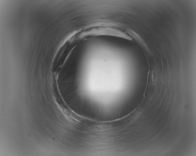 X0000080120436200612302014