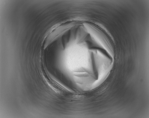 X0000080120437200612302014