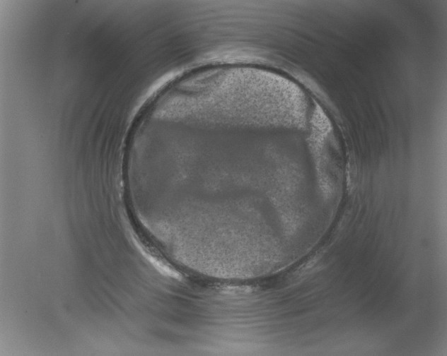 X0000080120438200612302014