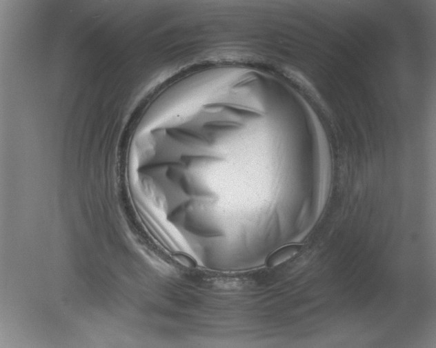 X0000080120439200612302014