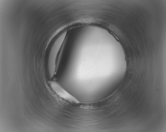 X0000080120440200612302014