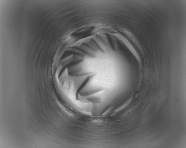 X0000080120441200612302014