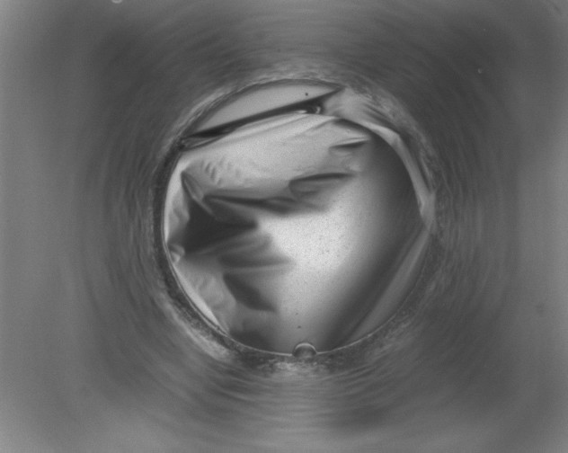 X0000080120442200612302014