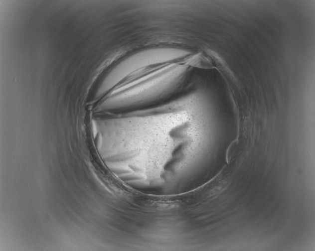 X0000080120443200612302014