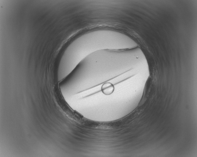 X0000080120444200612302014