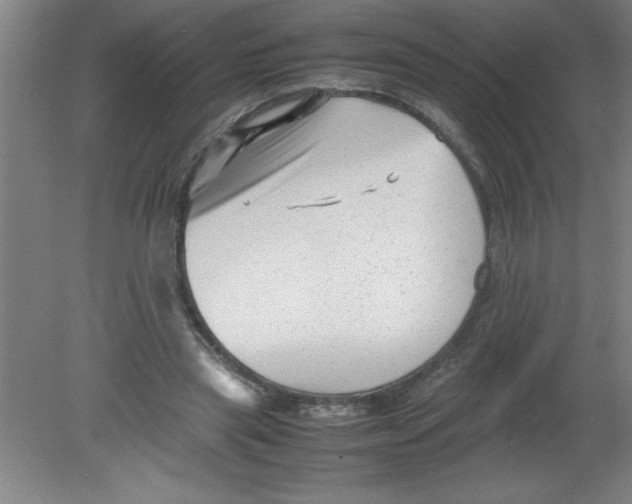 X0000080120445200612302014