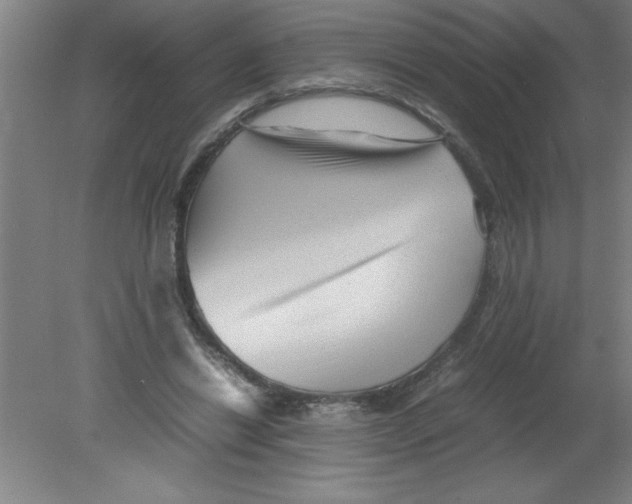 X0000080120446200612302014