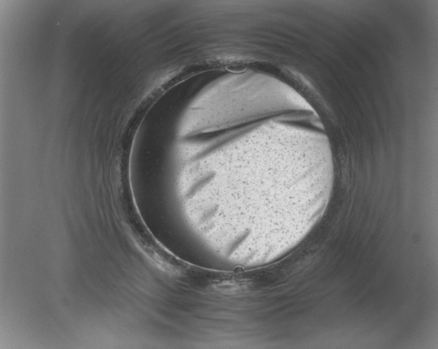 X0000080120447200612302014