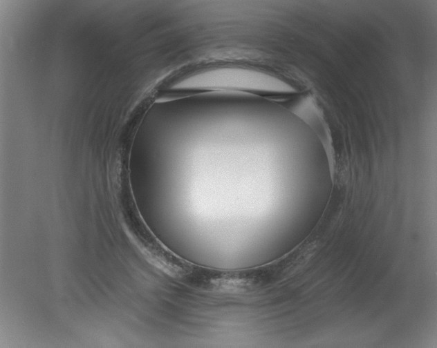 X0000080120448200612302014