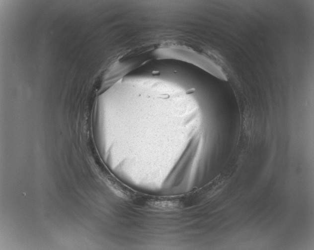 X0000080120449200612302014