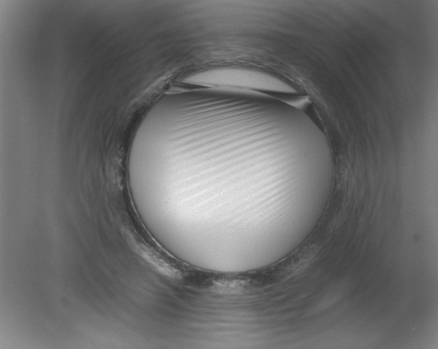 X0000080120450200612302014