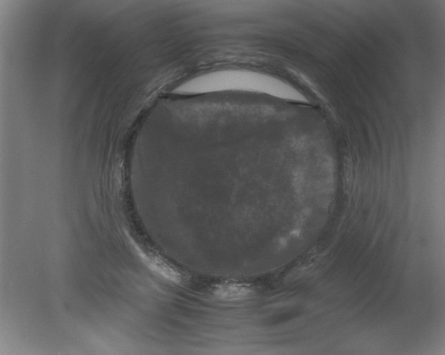 X0000080120451200612302014