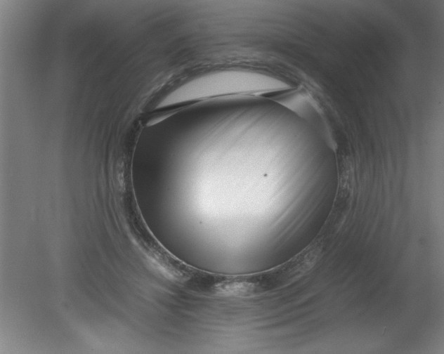 X0000080120452200612302014