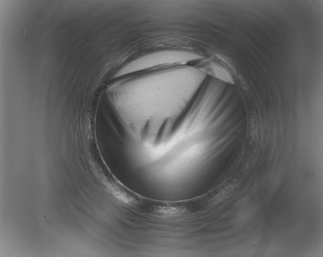 X0000080120453200612302014