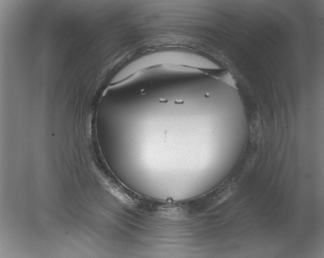 X0000080120454200612302014