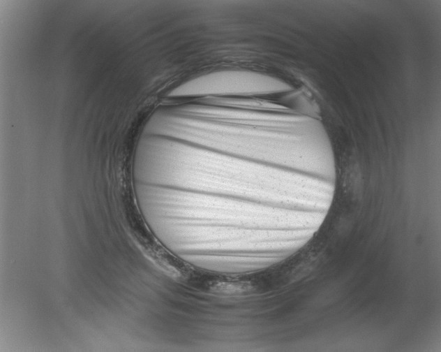 X0000080120455200612302014