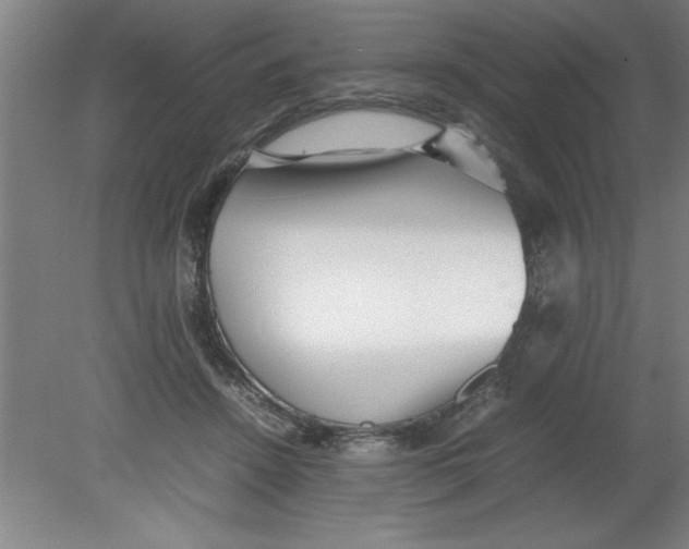 X0000080120456200612302014