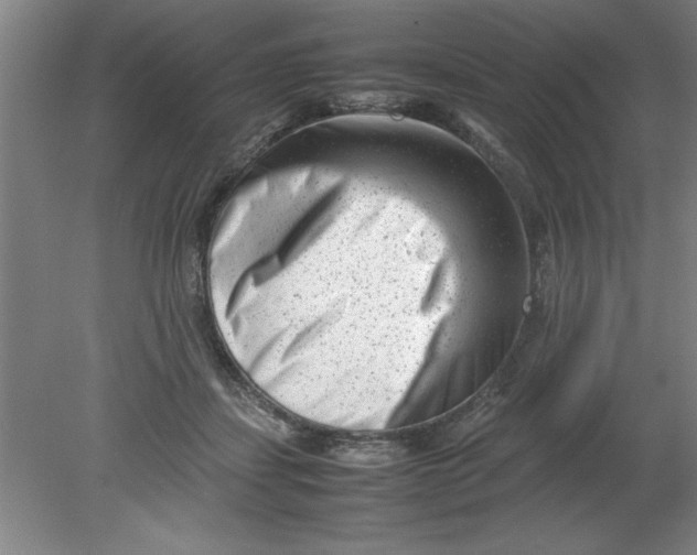 X0000080120459200612302015