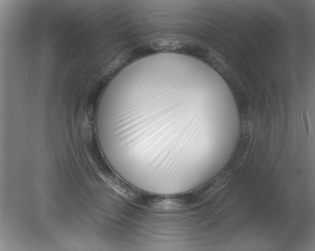 X0000080120460200612302015