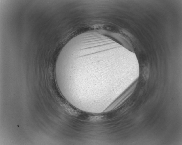 X0000080120461200612302015