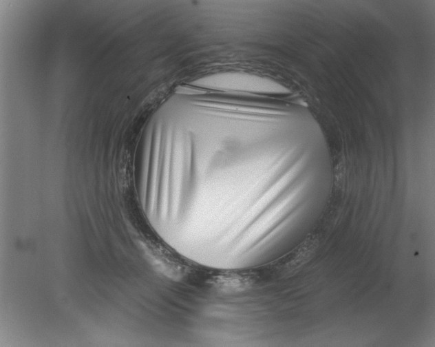 X0000080120464200612302015