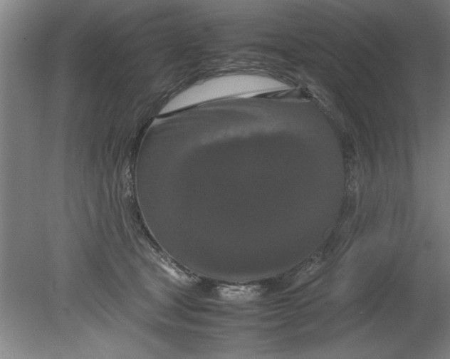 X0000080120465200612302015