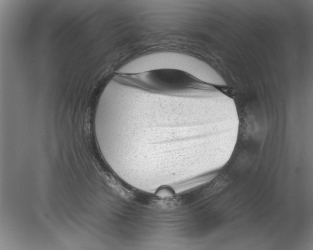 X0000080120466200612302015