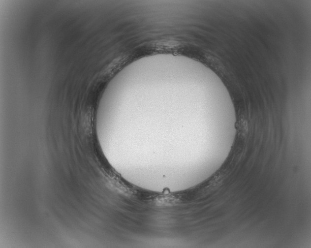 X0000080120468200612302015