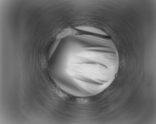 X0000080120469200612302015