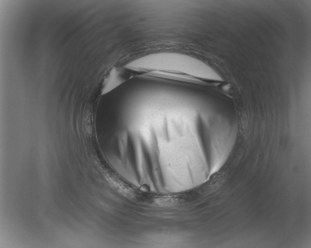 X0000080120470200612302015