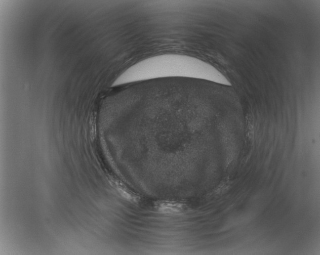 X0000080120471200612302015