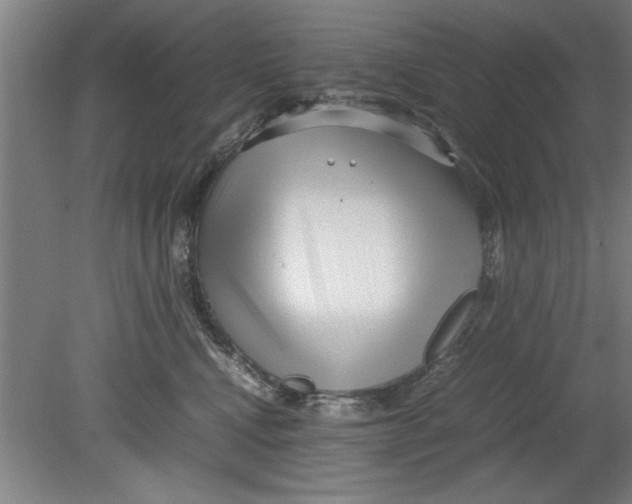 X0000080120472200612302015