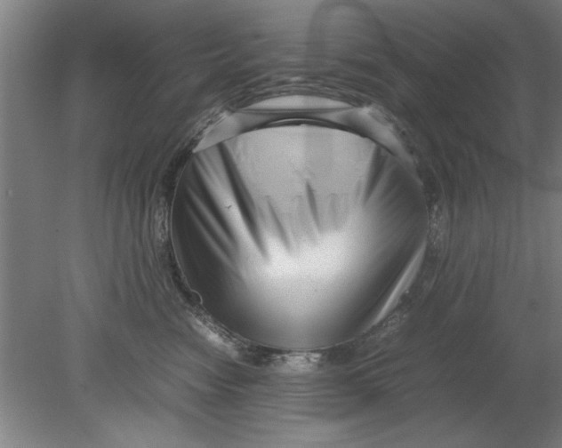 X0000080120474200612302015