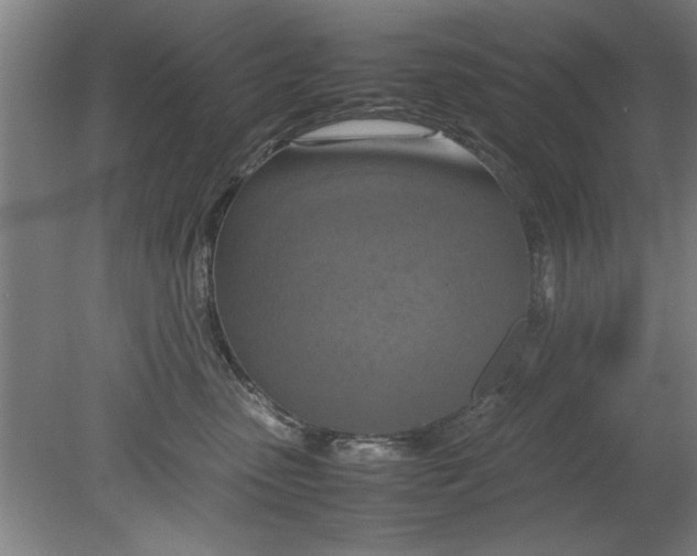 X0000080120475200612302015