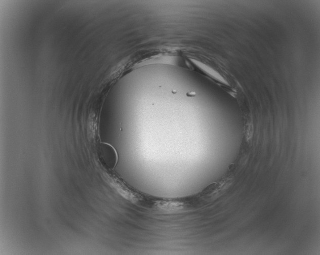 X0000080120476200612302015