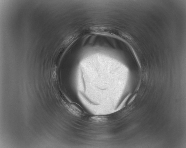 X0000080120477200612302015