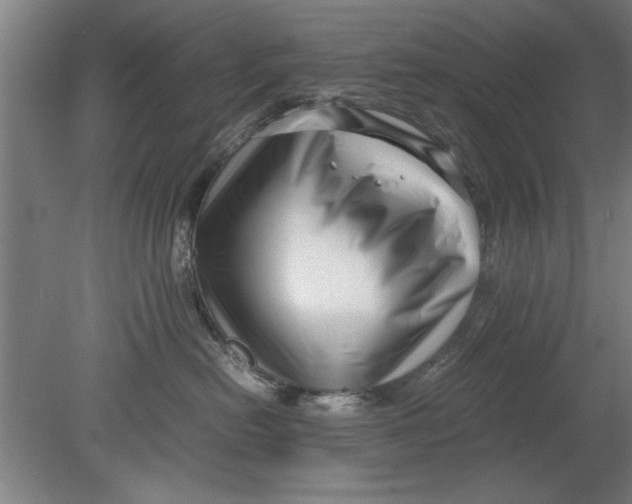 X0000080120478200612302015