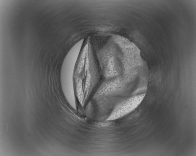 X0000080120479200612302015