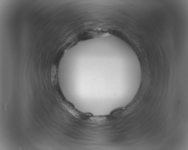 X0000080120480200612302015