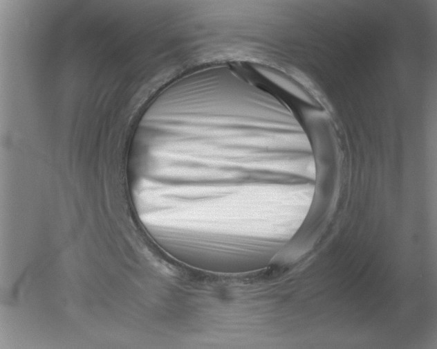 X0000080120481200612302014