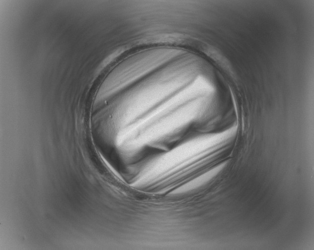 X0000080120483200612302014