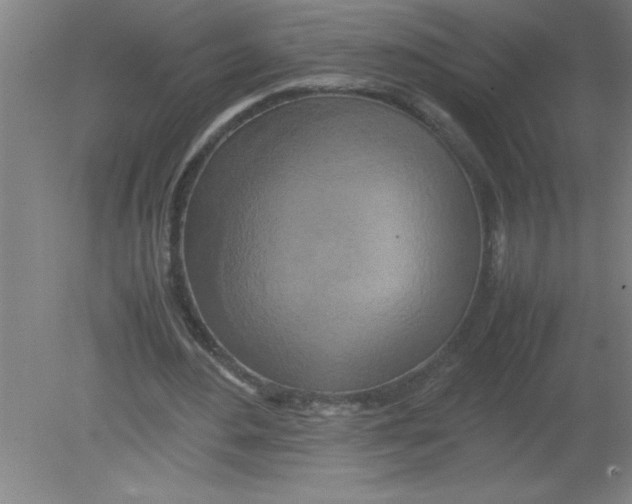 X0000080120484200612302014