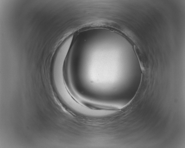 X0000080120485200612302014