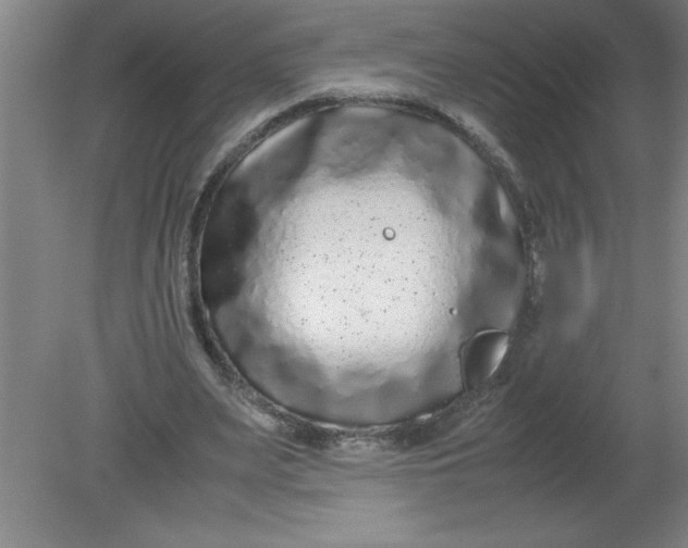 X0000080120487200612302014