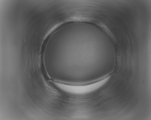 X0000080120488200612302014