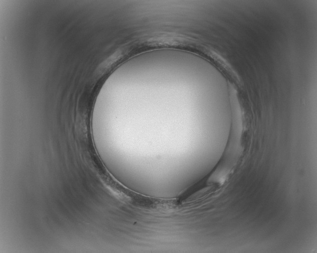 X0000080120489200612302014