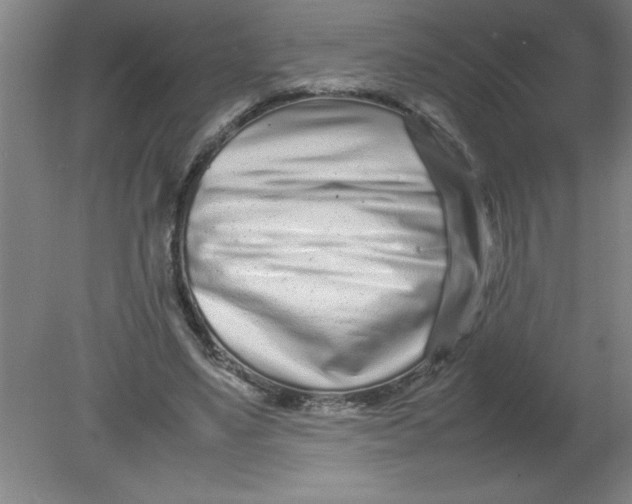 X0000080120491200612302014